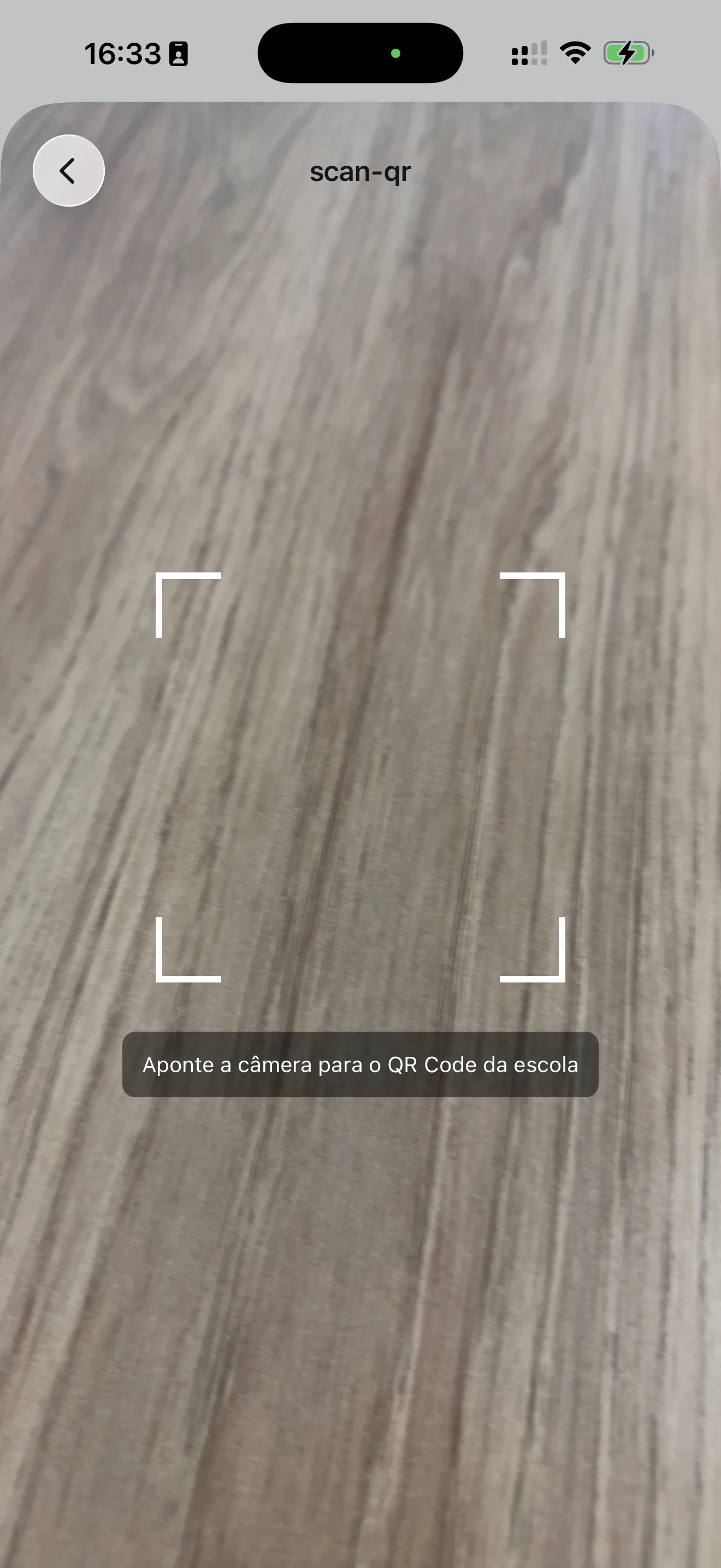 Scanner de QR Code com câmera ativa e instrução na tela
